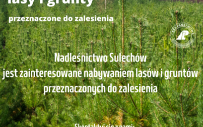 Zdjęcie do OGŁOSZENIE o możliwości zakupu las&oacute;w i grunt&oacute;w przeznaczonych do zalesienia