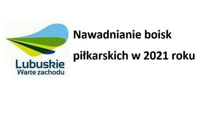 Zdjęcie do Modernizacja boiska sportowego w Leśnej G&oacute;rze