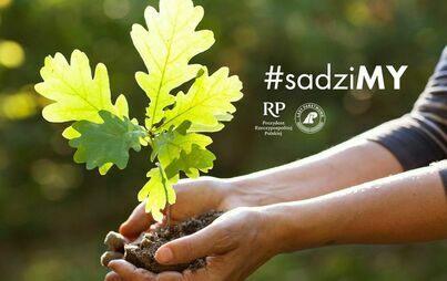 Zdjęcie do Posadź drzewo z Prezydentem RP i leśnikami