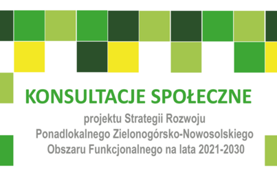 Zdjęcie do Konsultacje społeczne projektu Strategii Rozwoju Ponadlokalnego Zielonog&oacute;rsko-Nowosolskiego Obszaru Funkcjonalnego na lata 2021-2030